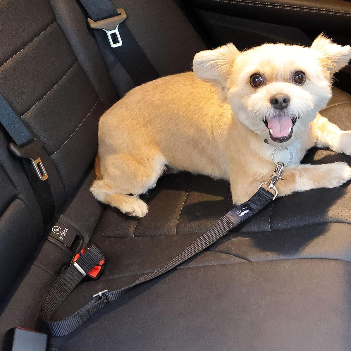 - Dog Seat Belt, 2 Pack, Adjustable Dog Seat Belt for Car