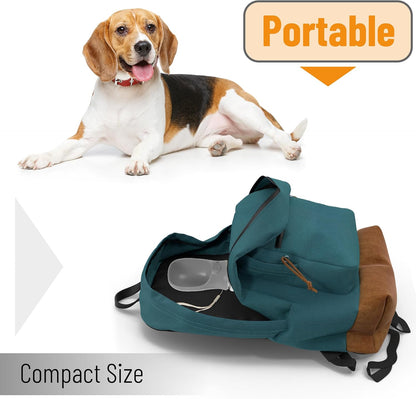 - Portable Dog Water Bottle, 19 Oz, Large