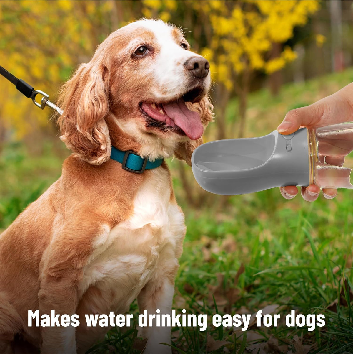- Portable Dog Water Bottle, 19 Oz, Large