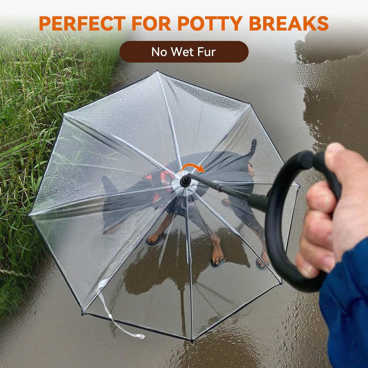 Dog Umbrella Small Breed, Clear Dog Umbrella Leash for Small Dogs, Keeps Dogs Dry Walking Rain, Doggie Rain Umbrella with Adjustable Leash, Self-Assembly