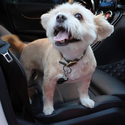 - Dog Seat Belt, 2 Pack, Adjustable Dog Seat Belt for Car