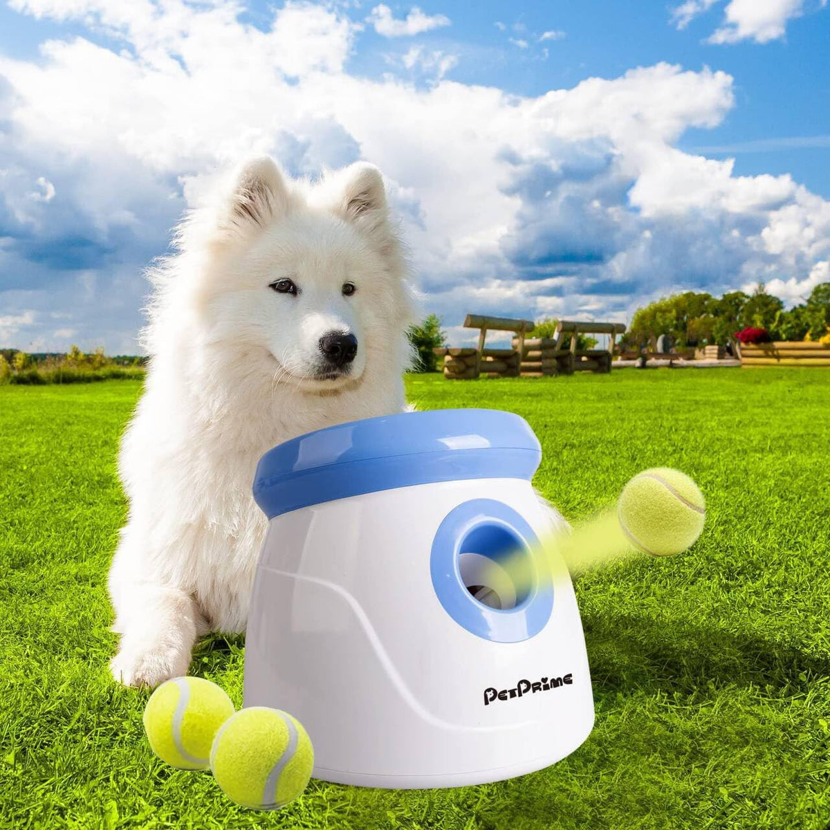 Automatic ball launcher for small dogs