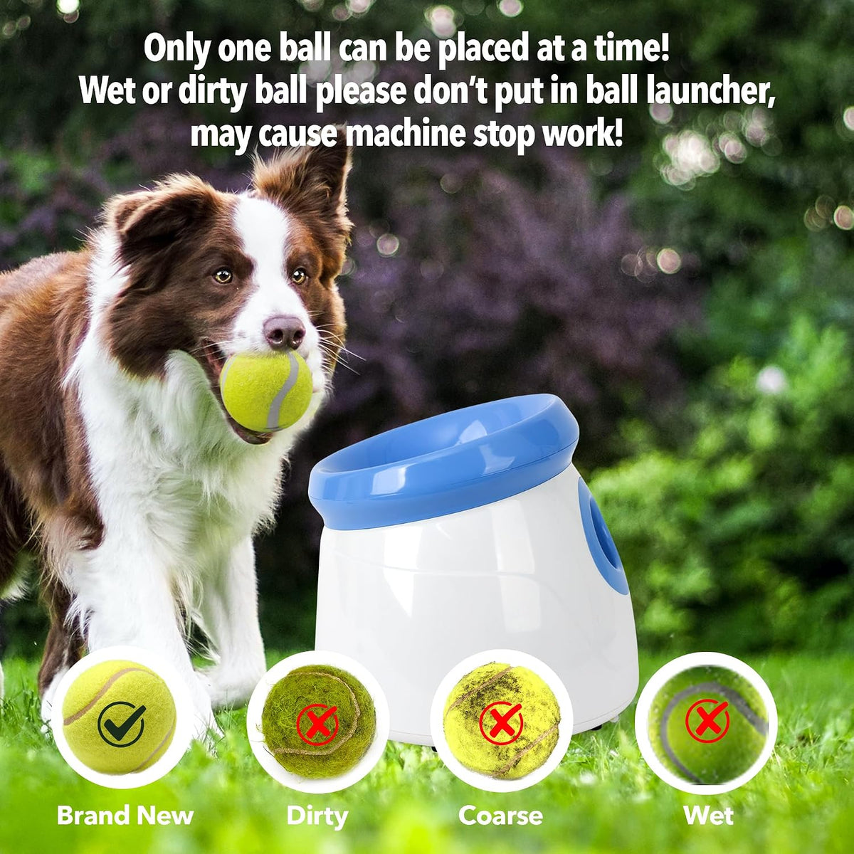 Ball launcher indoor outdoor