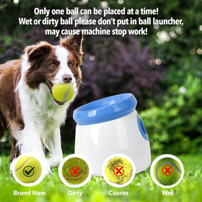Ball launcher indoor outdoor