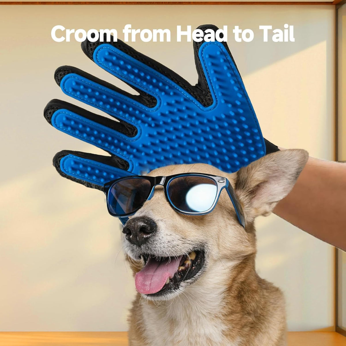 Pet Hair Remover Roller and Grooming Glove Set for Dogs & Cats