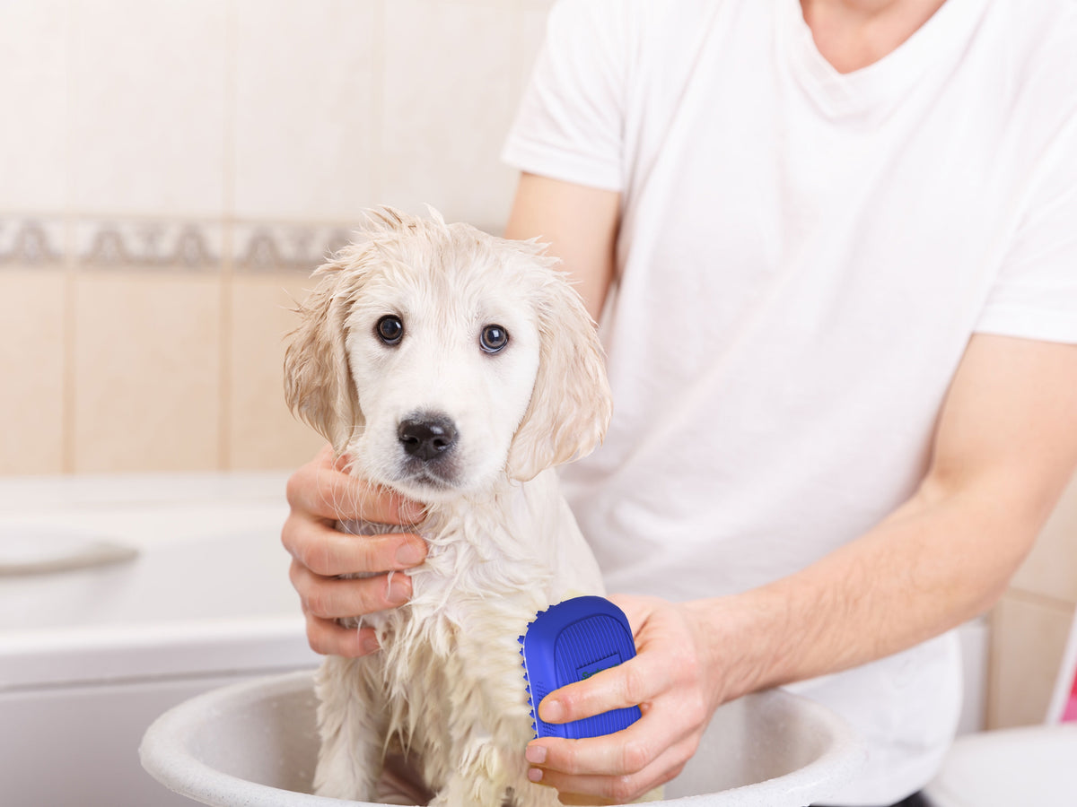 Dog Bath Scrubber – Rubber Grooming Brush with Non-Slip Grip
