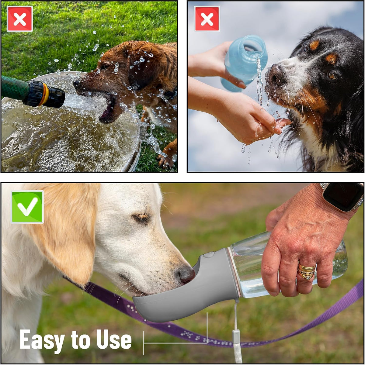 - Portable Dog Water Bottle, 19 Oz, Large
